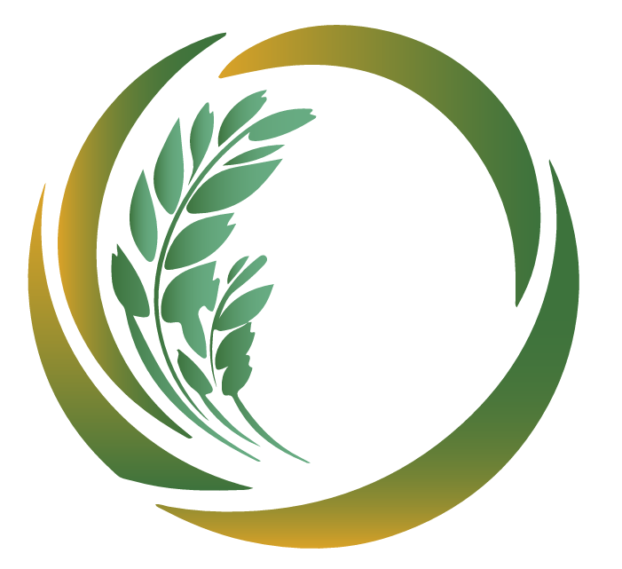 Plataforma de Pedidos Online